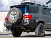 Swing Out Carrier Systems - Photo 15